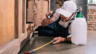 Best Pest Control North Vancouver: Top Services and Effective Solutions Reviewed