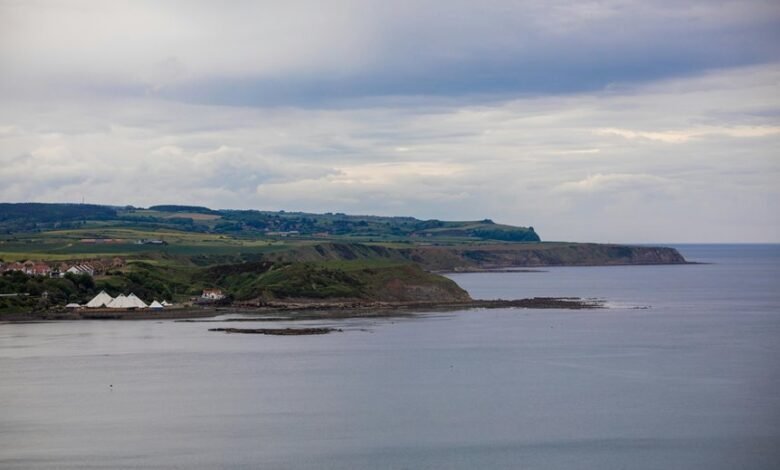 expansion of limitless edge