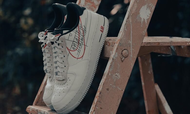 titan flow ladder model