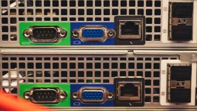 live server address details guide