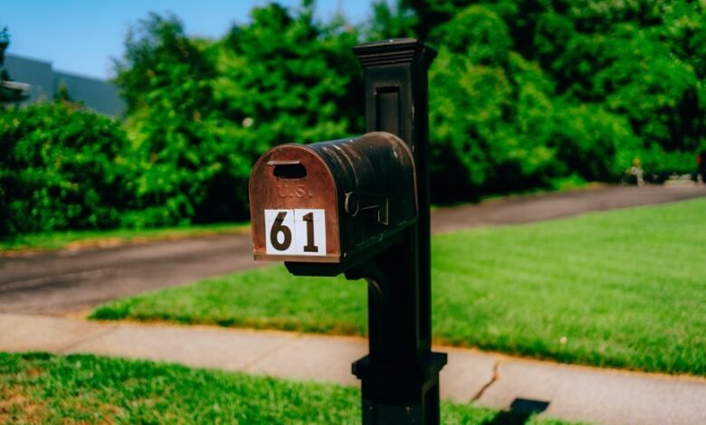 public ip address lookup guide
